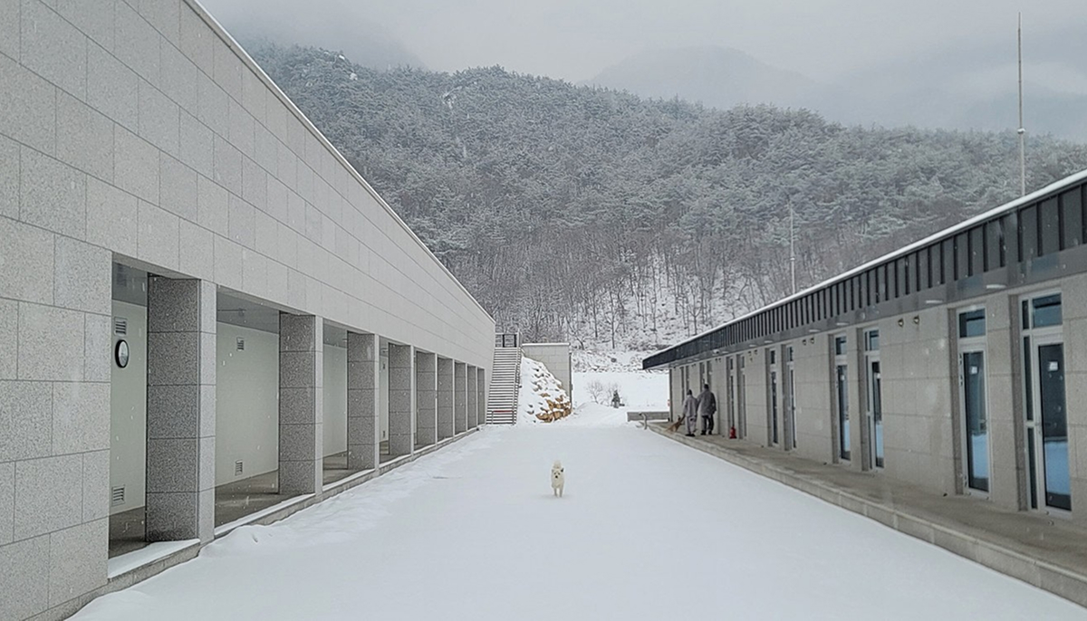 별관 (1인 특실)